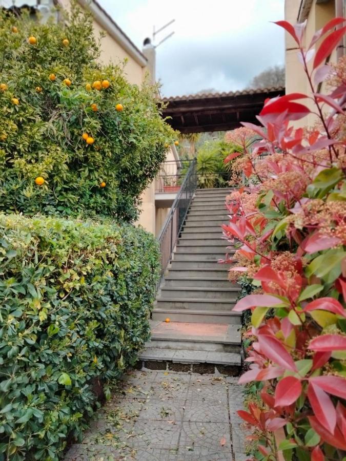 Sguardo Sul Lago Trevignano Romano Bagian luar foto